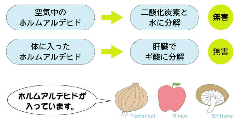 ホルムアルデヒド