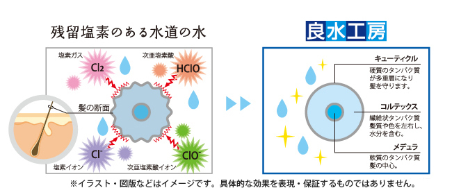 家中まるごとこだわり浄水